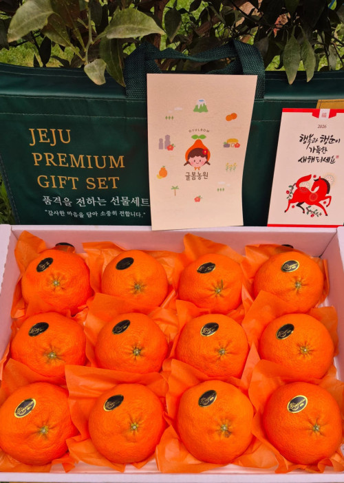 (산지직송) 레드향 [선물용] 서귀포 남원 하우스