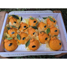 (산지직송) 한라봉 [선물용] 서귀포 남원 하우스